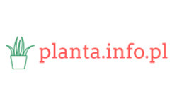 planta.info.pl