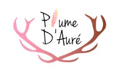 Перо ауры (plumedaure.com)