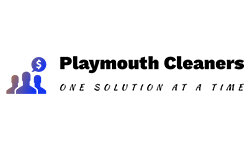 plymouth-cleaners.com