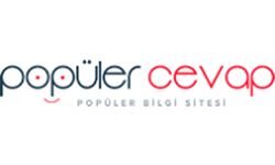 Popular answer (populercevap.com)