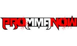 Профессиональное ММА сейчас (prommanow.com)