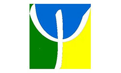 psicologiasdobrasil.com.br