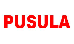 pusulagazetesi.com.tr