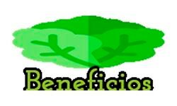 quebeneficiostiene.com