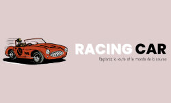 racing-car-yonnais.fr