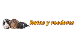 ratasyroedores.com