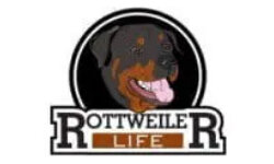 rottweilerlife.com
