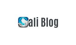 saliblog.com