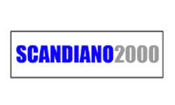 scandiano2000.it