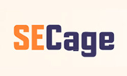 searchenginecage.com
