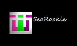 seorookie.net