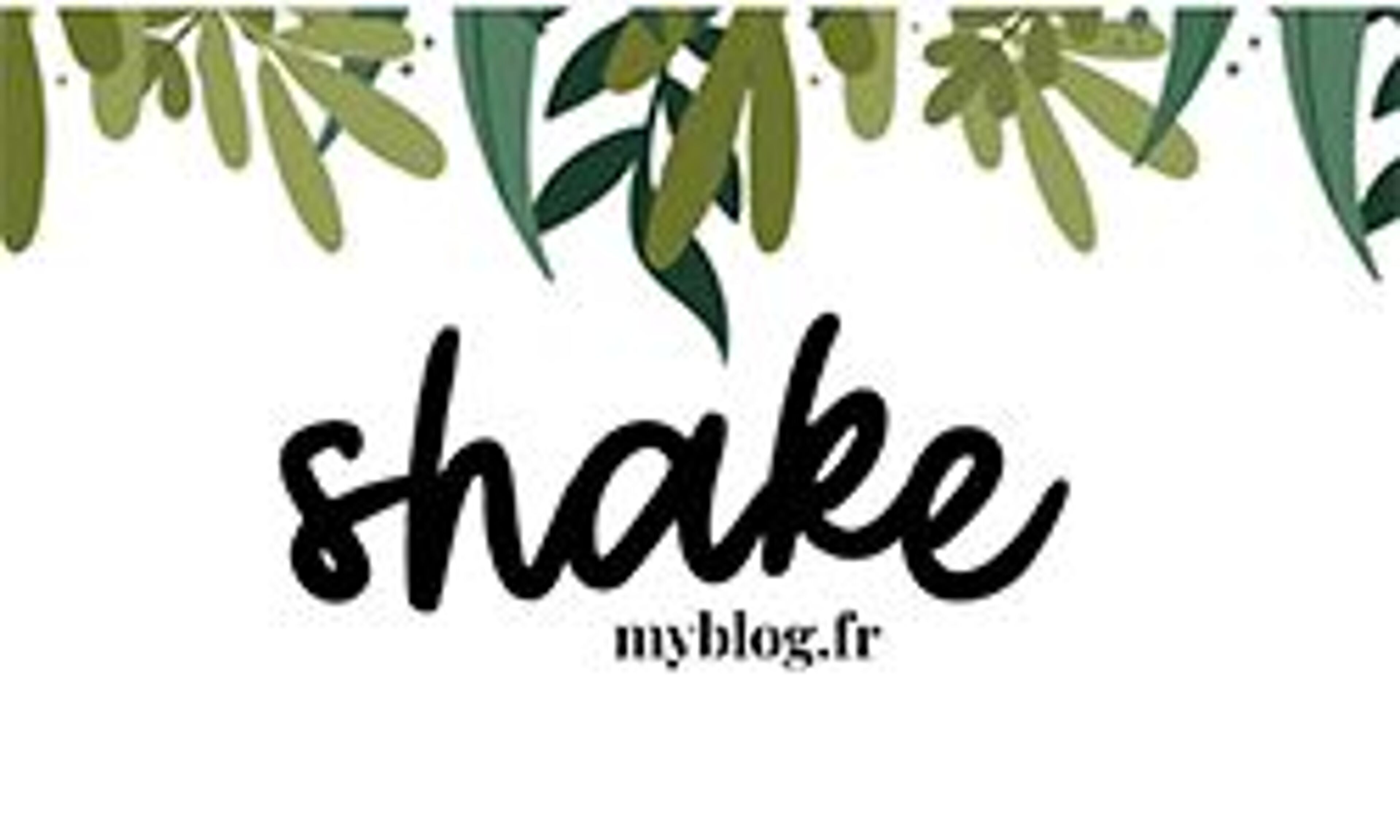 Shake my blog (shakemyblog.fr)
