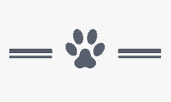 siberian-husky.com.pl