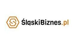 Силезский бизнес (slaskibiznes.pl)