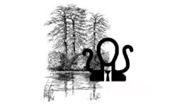 Slankt spill (slendergame.com)