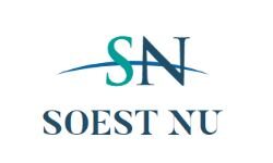 Соест сейчас (soestnu.nl)