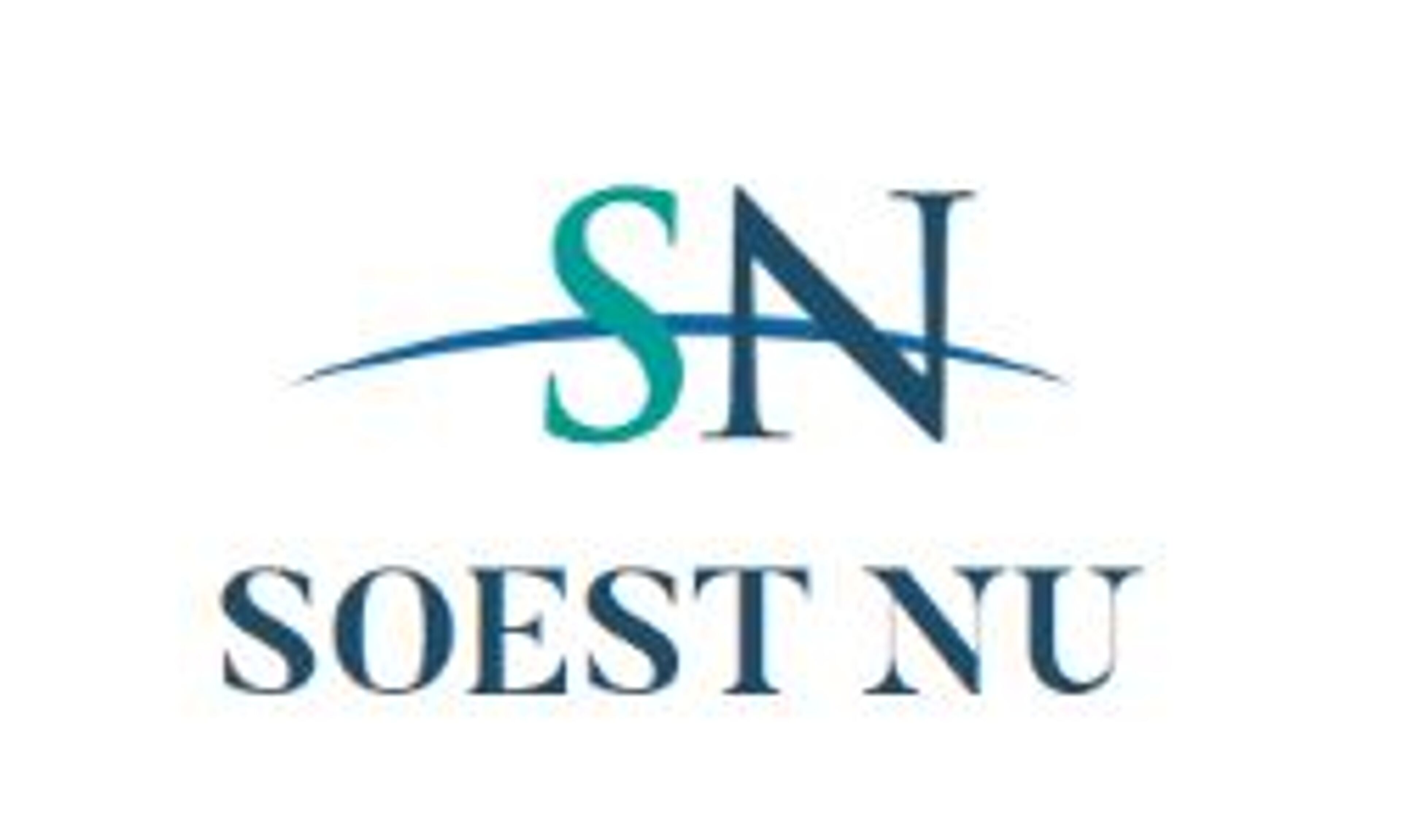 Соест сейчас (soestnu.nl)