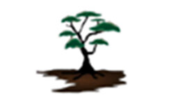 soultransformation.dk