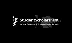 Студенческие стипендии (studentscholarships.org)