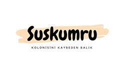 Mackerel (suskumru.com)