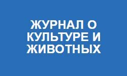 Taigan (taigan.com.ua)