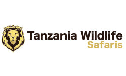 tanzaniawildlifesafaris.com