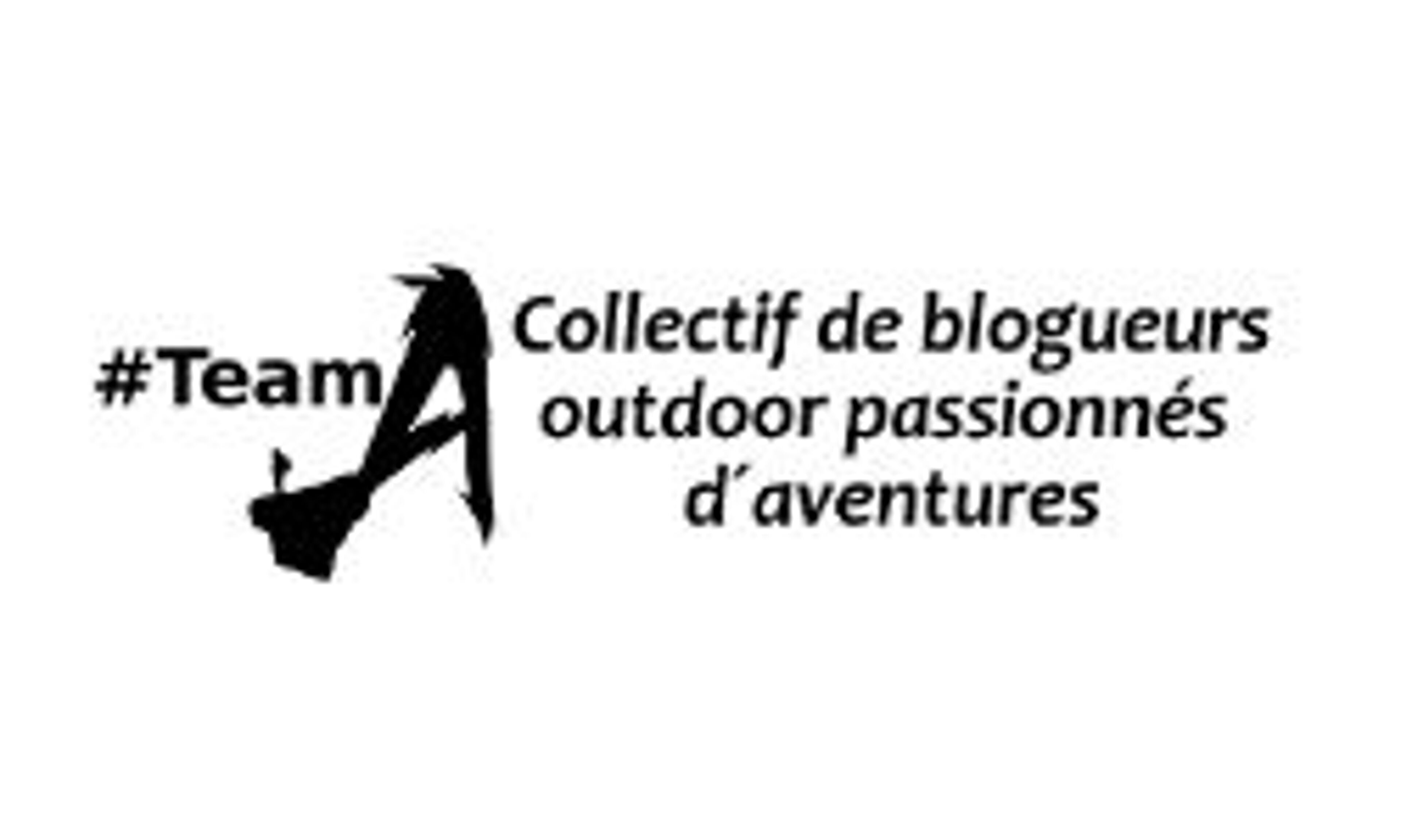 teamaventuriers.fr