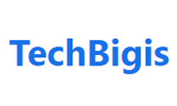 techbigis.com
