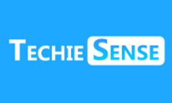 techiesense.com