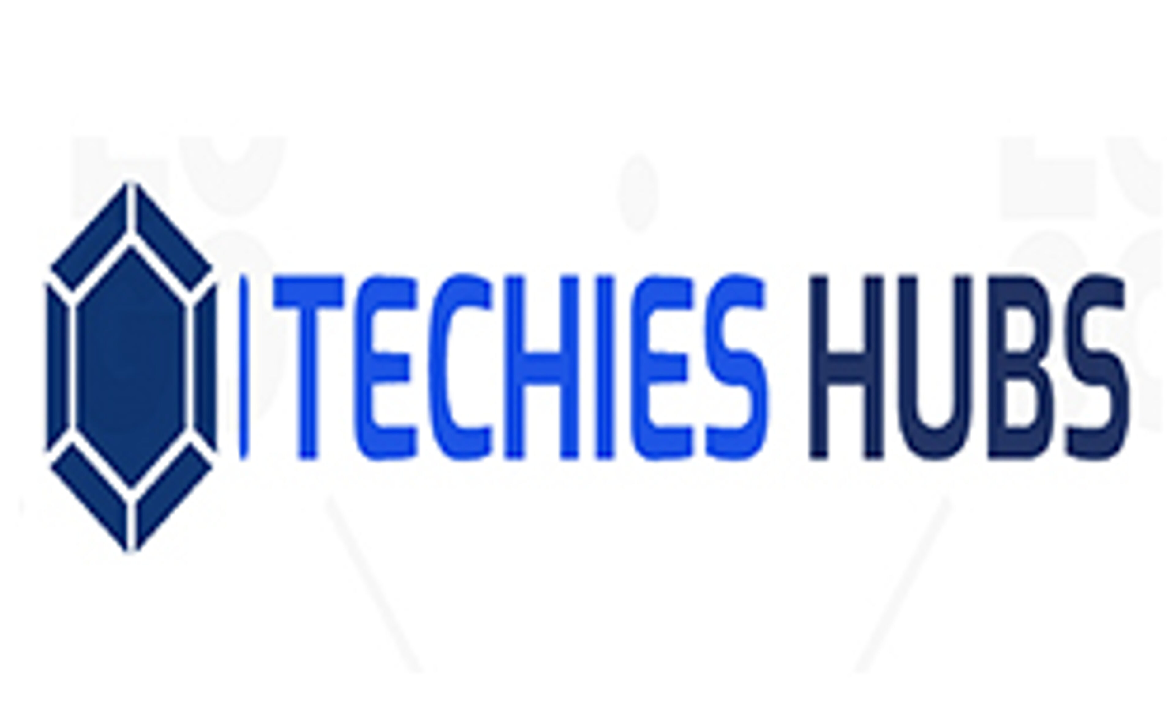 techieshubs.com