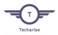 techsrise.com