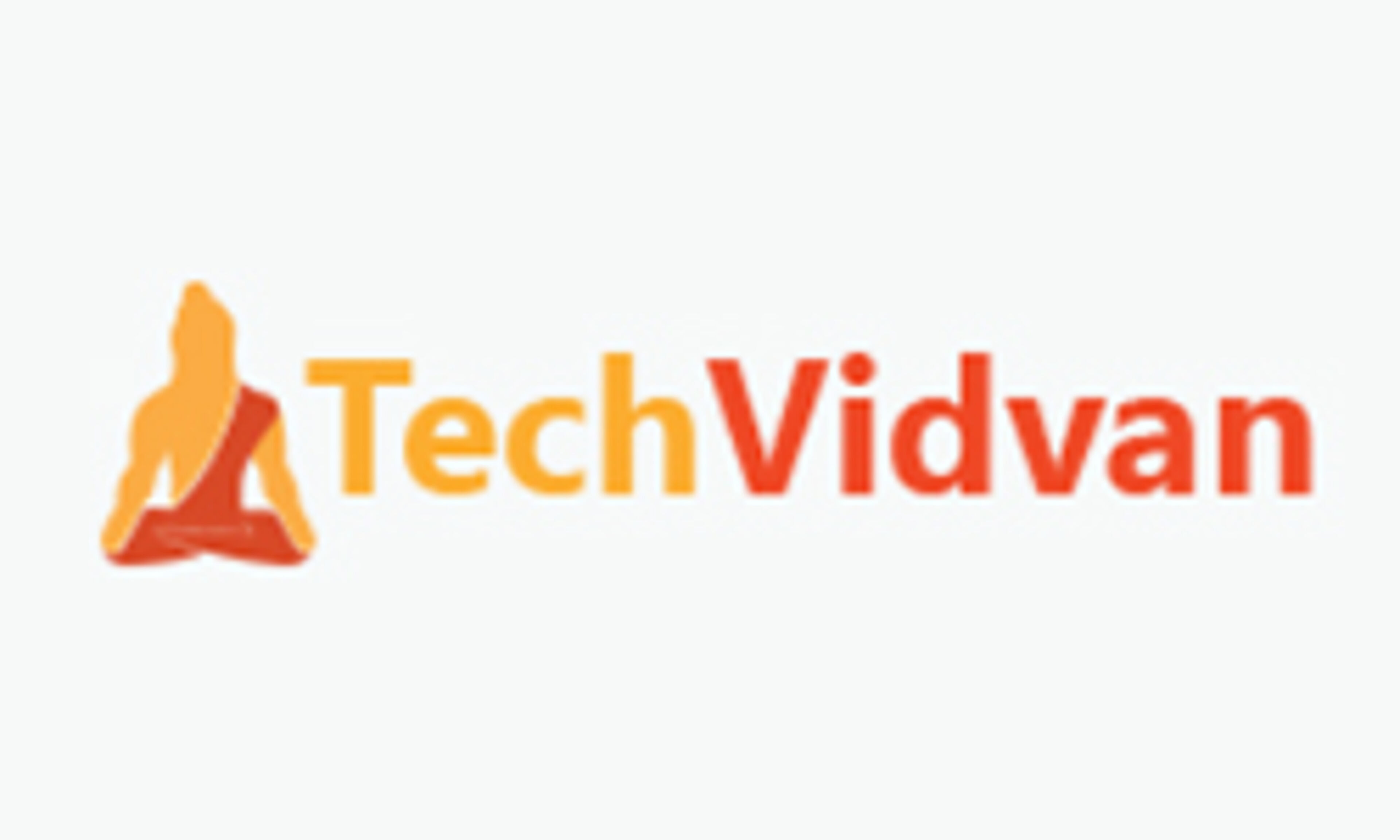 techvidvan.com