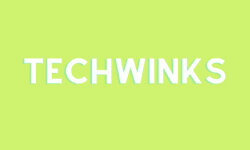 techwinks.com.in