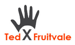 tedxfruitvale.org