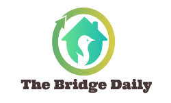 thebridgedaily.com
