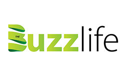 thebuzzlife.com