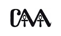 Das Zentrum für afrikanische Ästhetik (thecentreforafricanaesthetics.org)