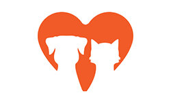 thecontemporarypet.com