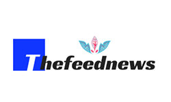thefeednews.com