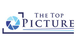 thetoppicture.com