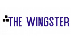 thewingster.com