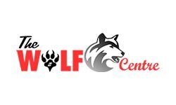Вовчий центр (thewolfcentre.co.uk)