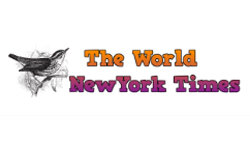 theworldnewyorktimes.com