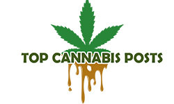 topcannabisposts.com