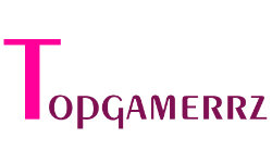 topgamerrz.com