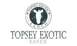 topseyexoticranch.com