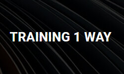 training1way.com
