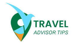 traveladvisortips.com