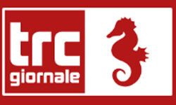 trcgiornale.it