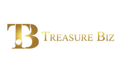 treasurebiz.com